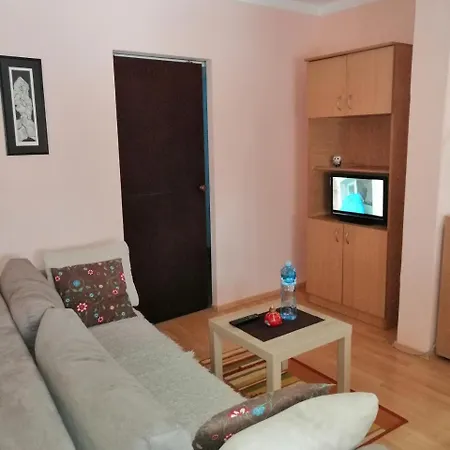 Apartment Matovic *